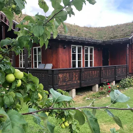 Golden Seaside Villa *