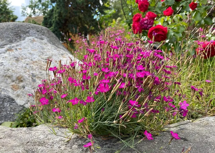 Golden Seaside 别墅 *