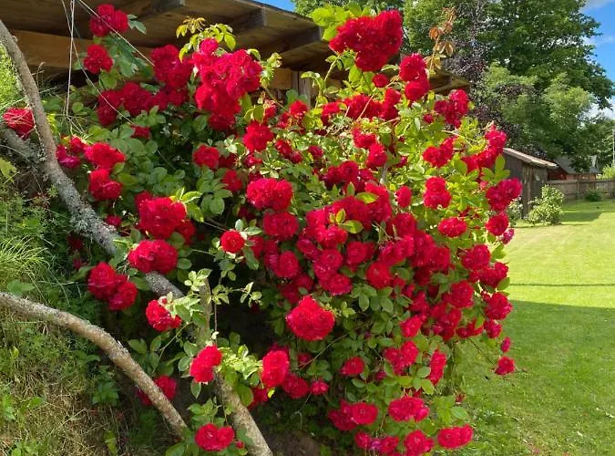 Golden Seaside 别墅 *