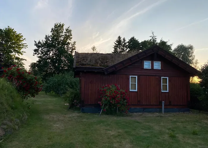 Golden Seaside 别墅